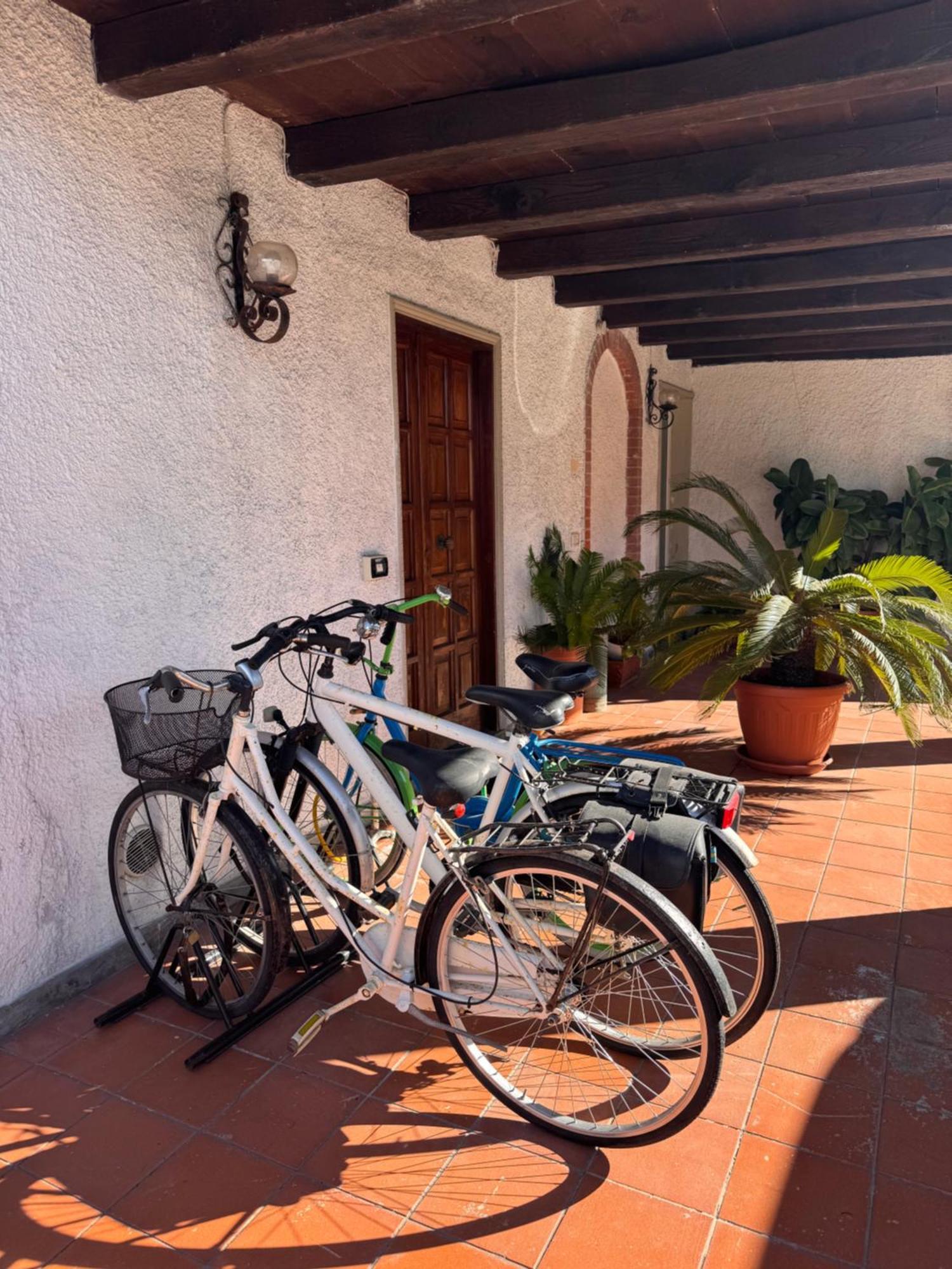 Tra Forte Dei Marmi E Marina Di Massa - Il Melograno Esterno foto